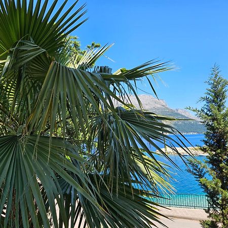 Villa Jade Apartments Front Row Sea View - Walk To Korcula Old Town Medvinjak Ngoại thất bức ảnh