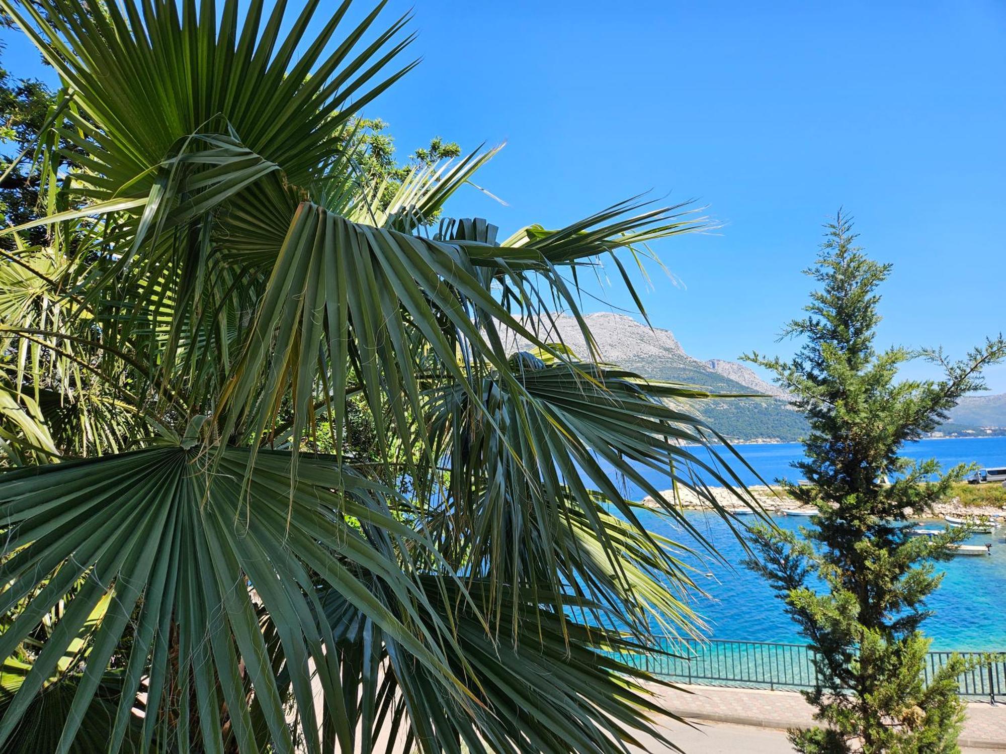 Villa Jade Apartments Front Row Sea View - Walk To Korcula Old Town Medvinjak Ngoại thất bức ảnh